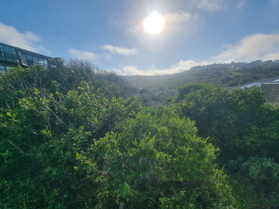 0 Bedroom Property for Sale in Dana Bay Western Cape